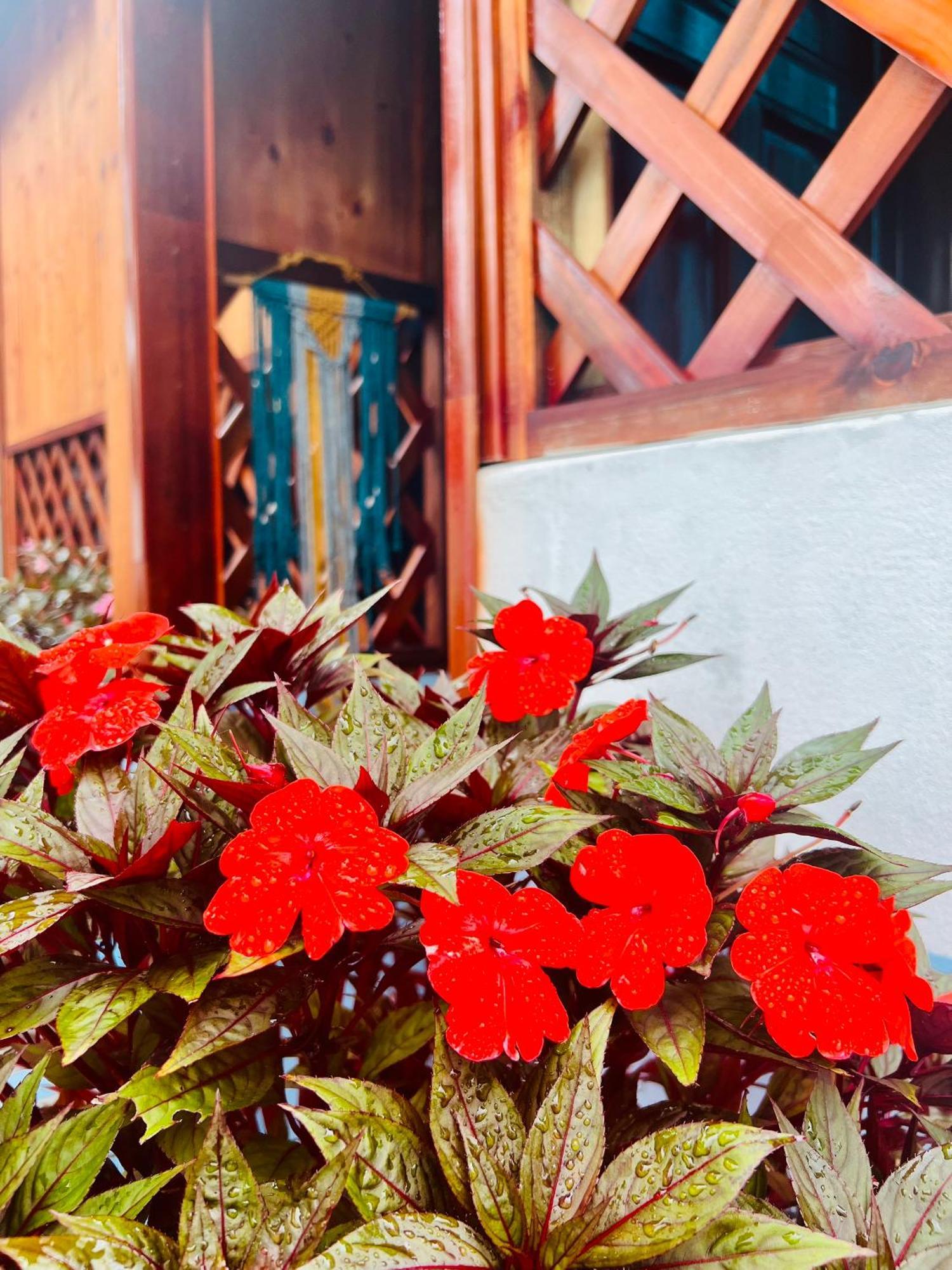 Vietnam Phuot Real Home Kon Tum  Quarto foto